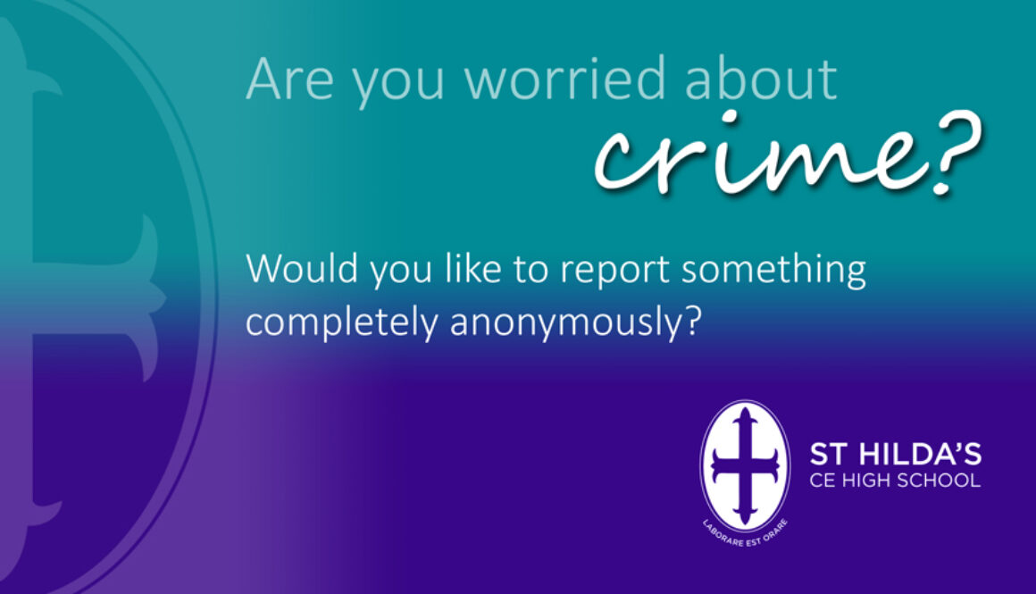 Are you worried about crime NP graphic