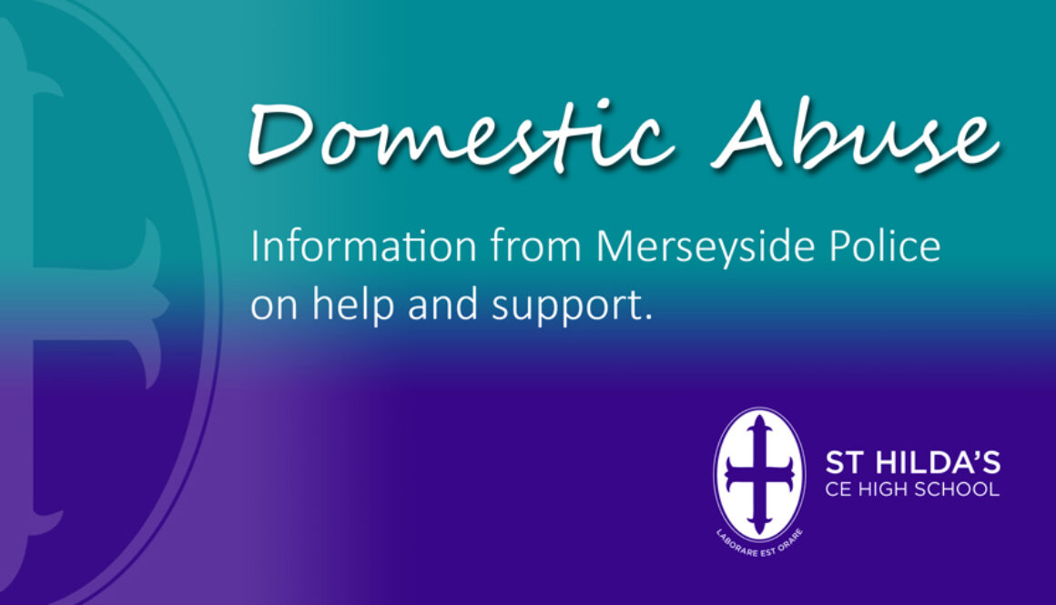 Domestic Abuse NP graphic