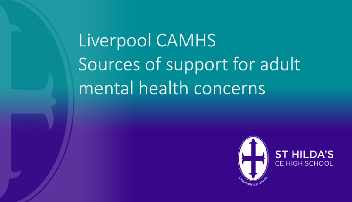 CAMHS Sources of Support NP graphic