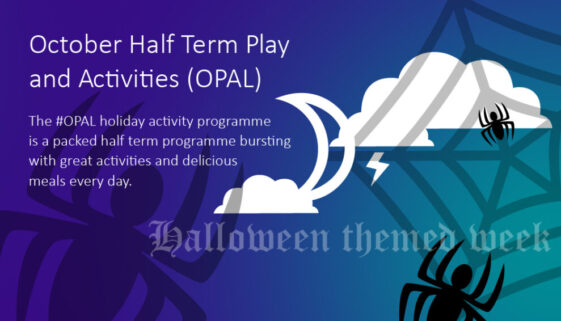 OPAL slider graphic H theme NP graphic