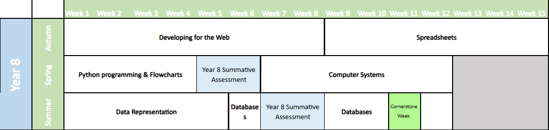 year 8 developing for the web spreadsheets python programming and flowcharts computer systems data representation databases